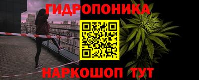 apvp Пенза
