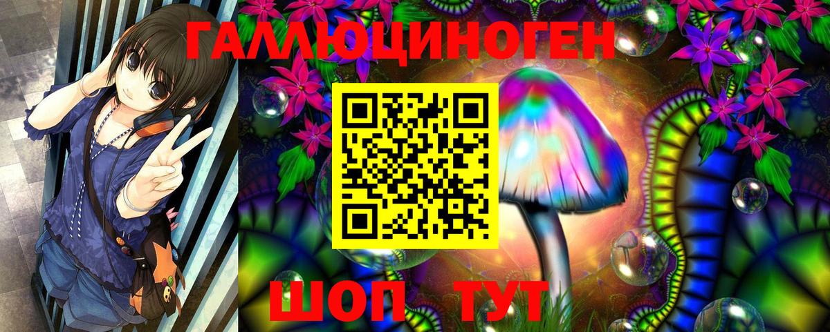 Галлюциногенные грибы Psilocybe Среднеуральск